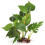 Digiflex Artificial Fish Tank Plant | Plastic Aquarium Plant 1
