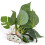 Digiflex Artificial Fish Tank Plant | Plastic Aquarium Plant 5