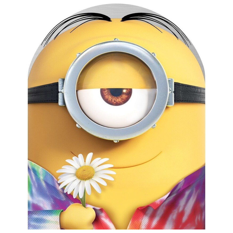 Minions - Limited Edition Collectors Case DVD [2015]-image-OPC-P6M9TB-NEW