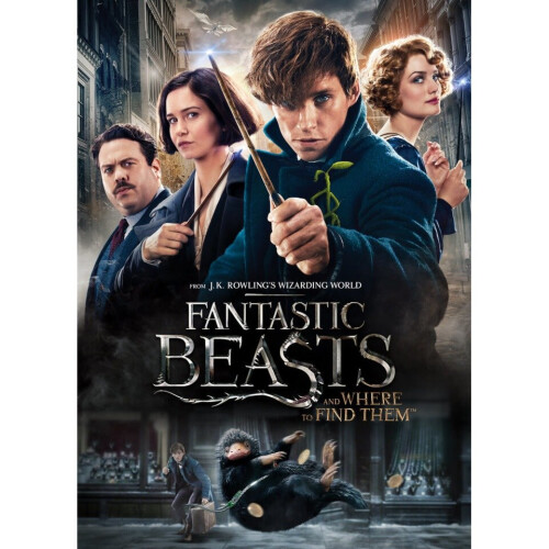 Warner Bros Fantastic Beasts and Where To Find Them (DVD)