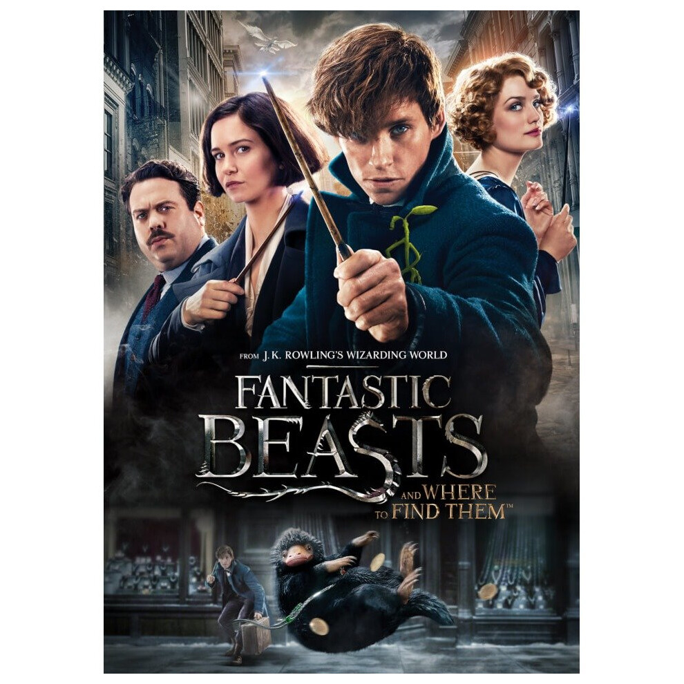 Fantastic Beasts and Where To Find Them (DVD)