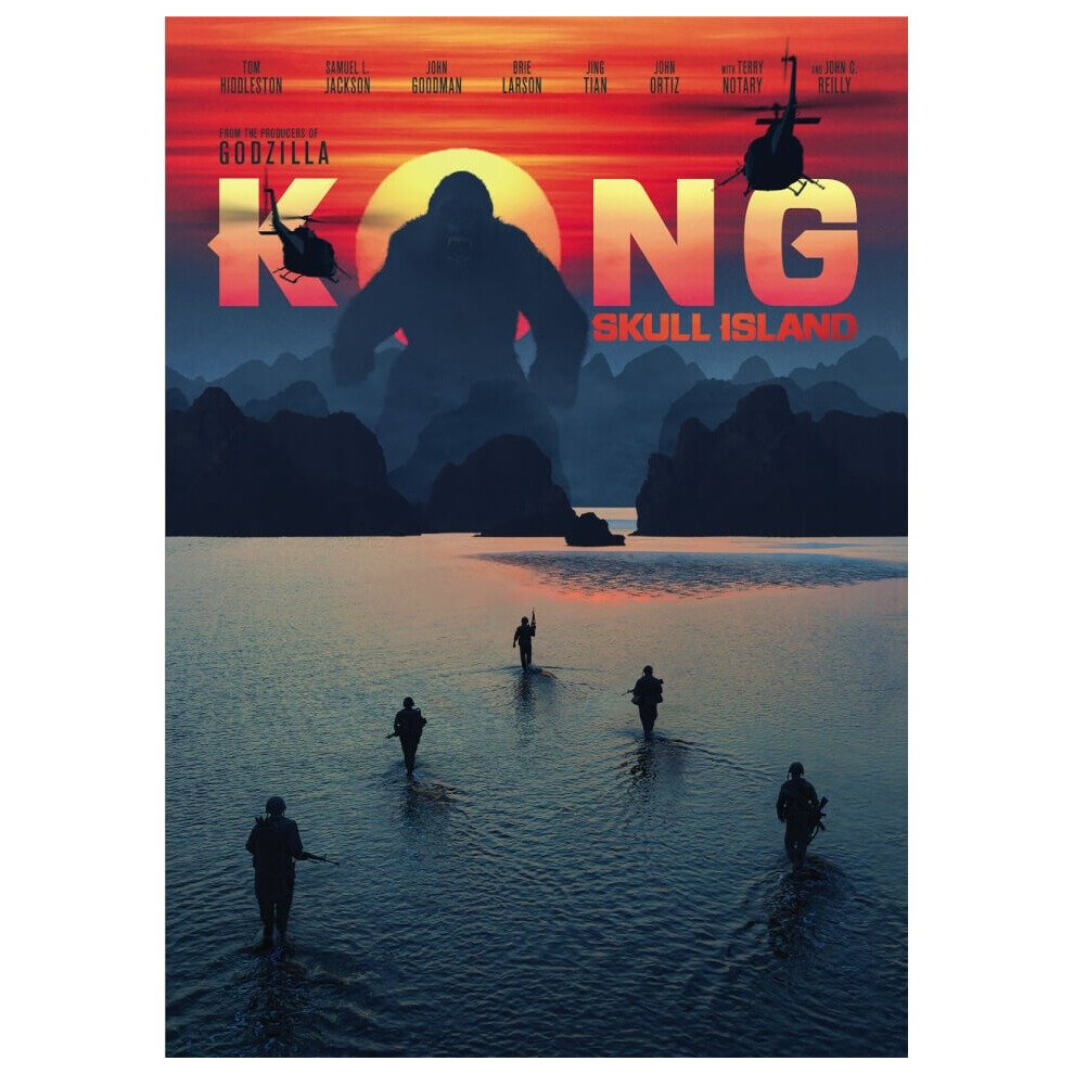 Warner Bros Kong: Skull Island [2017] (Dvd)