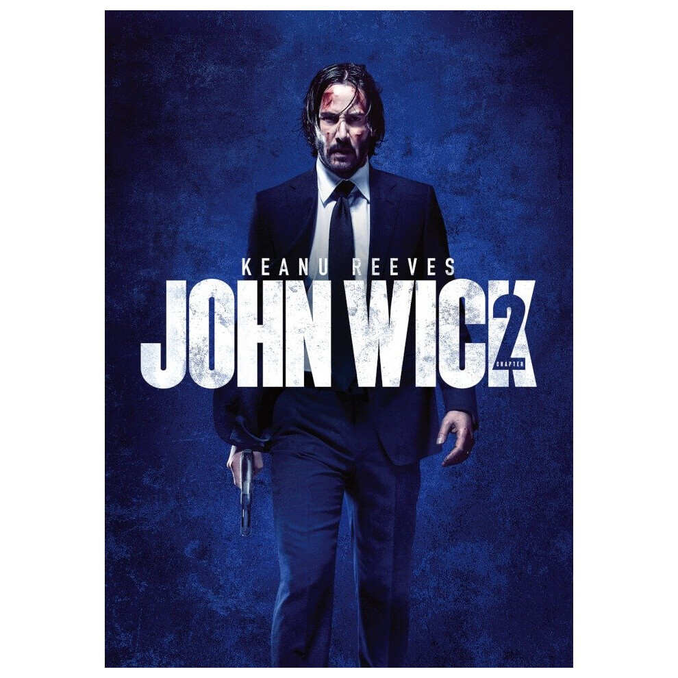 Warner Bros John Wick: Chapter (Dvd) Size 2