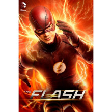 The Flash - Season 2 (DVD)