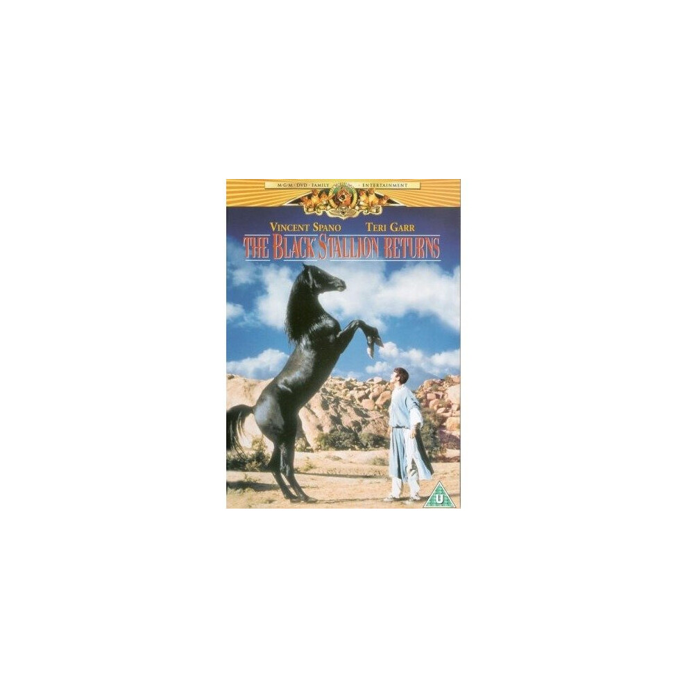 Black Stallion Returns The