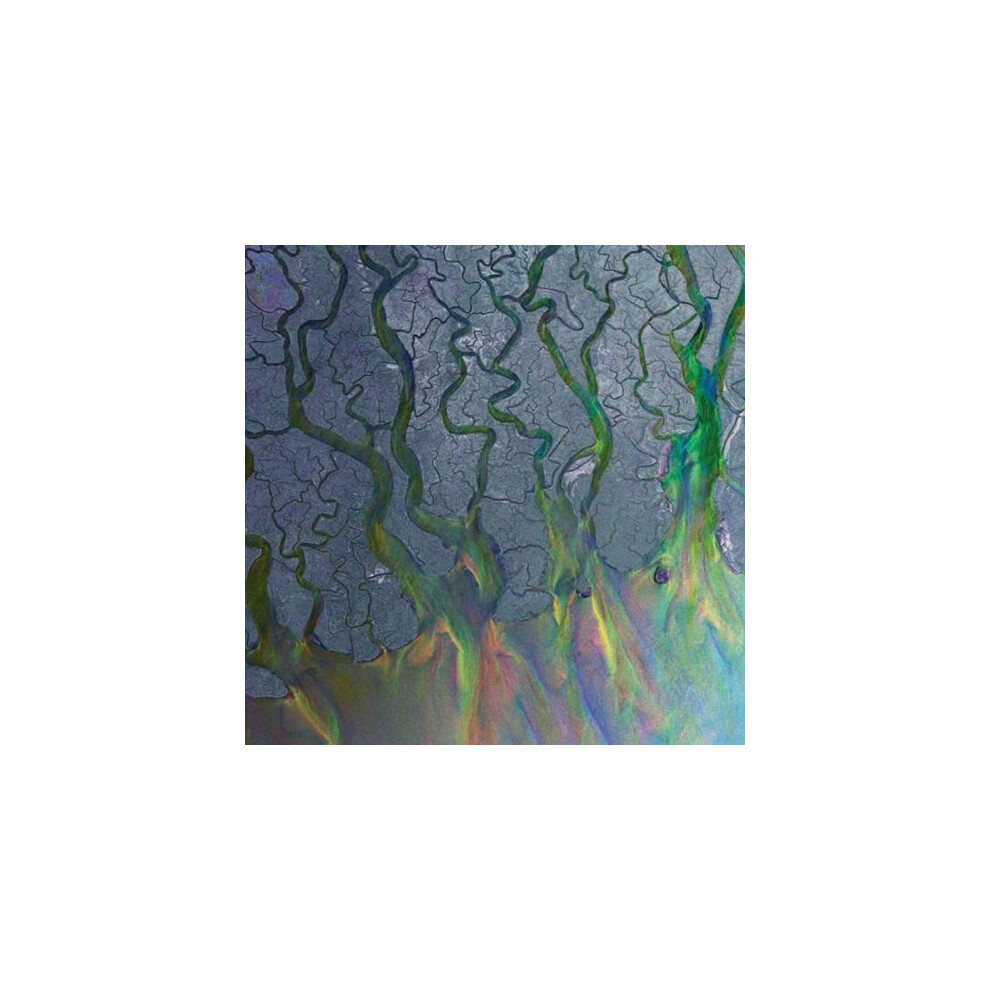 Alt-j - an Awesome Wave [CD]