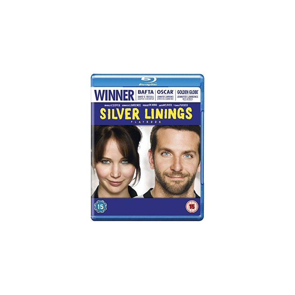 Entertainment In Film Silver Linings - Playbook Blu-Ray [2013]