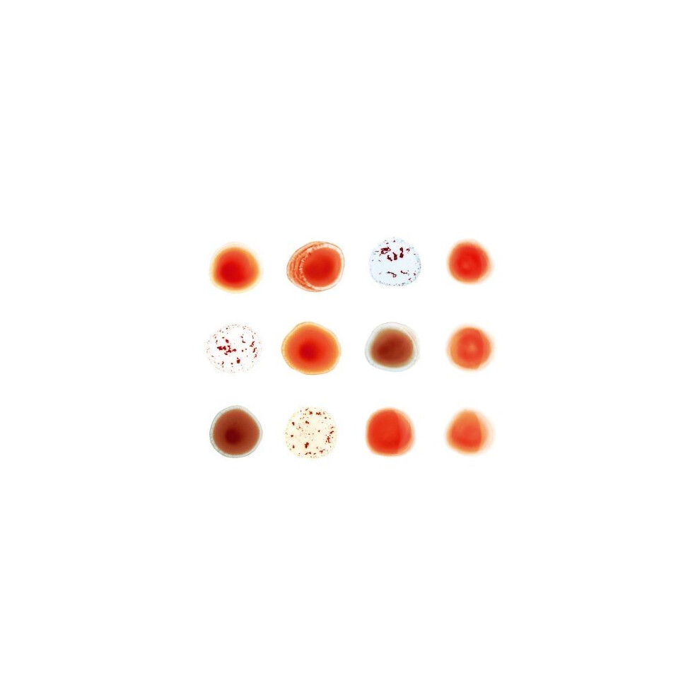 Peter Gabriel - Scratch My Back/and Ill Scratch Yours [CD]