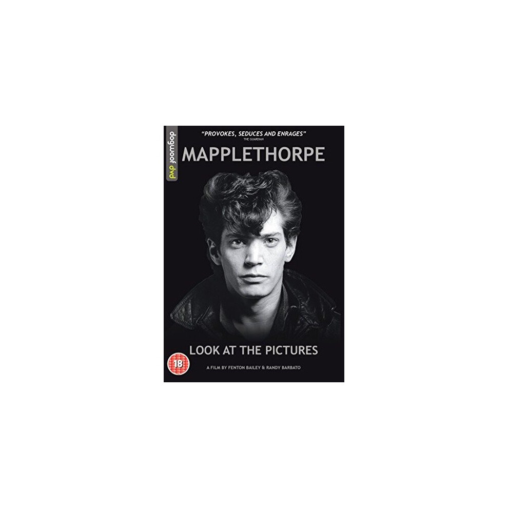 Mapplethorpe: Look at the Pictures (DVD)