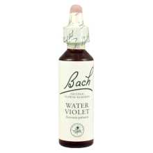 Bach Original Flower Remedies Beech 20ml (order 130 for Trade Outer)