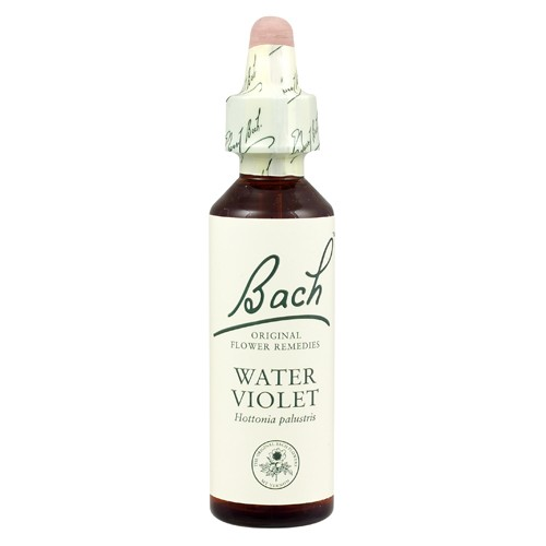 Bach Original Flower Remedies Beech 20ml (order 130 for Trade Outer)