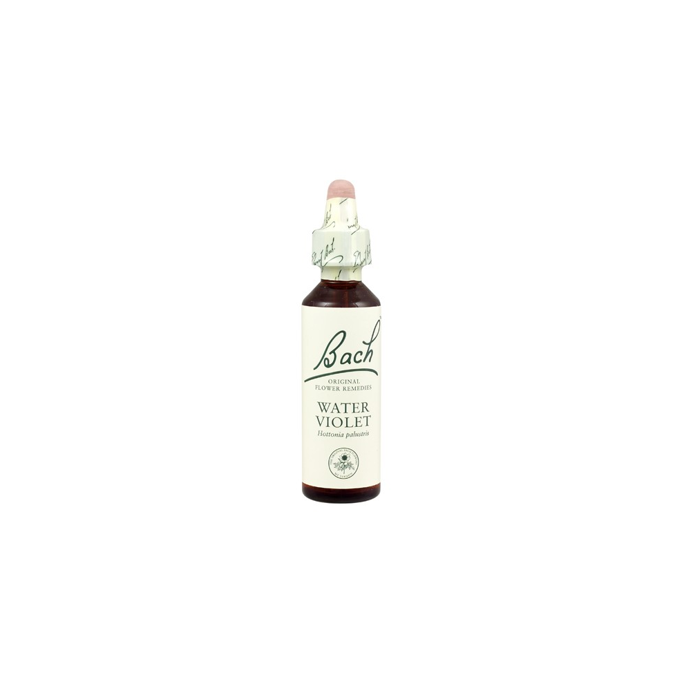 Bach Original Flower Remedies Beech 20ml (order 130 for Trade Outer)