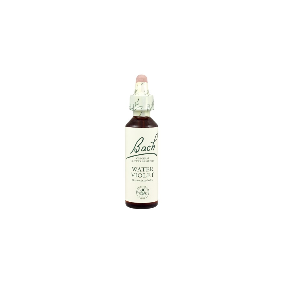 Bach Original Flower Remedies Beech 20Ml (Order 130 For Trade Outer)