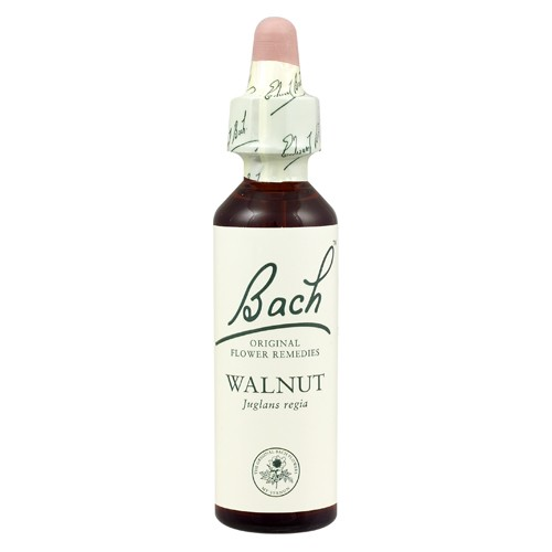 Bach Original Flower Remedies | Walnut 20ml