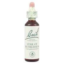 Bach Original Flower Remedies Star of Bethlehem 20ml (order 130 for Trade Outer)