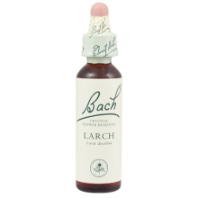 Bach Original Flower Remedies Larch 20ml (order 130 for Trade Outer)