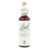 Bach Original Flower Remedies | Mimulus 20ml 1