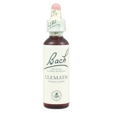 Bach Original Flower Remedies Clematis 20ml (order 130 for Trade Outer)