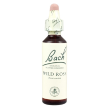 Bach Original Flower Remedies Wild Rose 20ml (order 130 for Trade Outer)