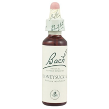 Bach Original Flower Remedies Honeysuckle 20ml (order 130 for Trade Outer)