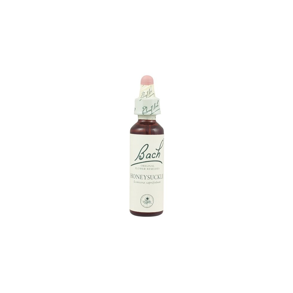 Bach Original Flower Remedies Honeysuckle 20Ml (Order 130 For Trade Outer)