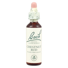 Bach Original Flower Remedies Chestnut Bud 20ml (order 130 for Trade Outer)