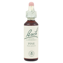 Bach Original Flower Remedies Pine 20ml (order 130 for Trade Outer)