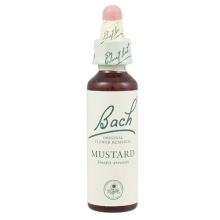 Bach Original Flower Remedies Mustard 20ml (order 130 for Trade Outer)