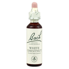 Bach Original Flower Remedies White Chestnut 20ml (order 130 for Trade Outer)