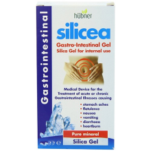 Hübner Original Silicea Gastro-Intestinal Direct 15 x 15ml Sachets