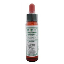 Dr Bach Cherry Plum Bach Flower Remedy