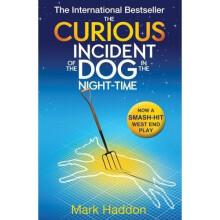 The Curious Incident of the Dog in the Night-time
