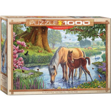 Eg60000976 - Eurographics Puzzle 1000 Pc - the Fell Ponies