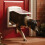 PetSafe (MEDIUM WHITE 740EF) Cat/ Dog Flap For Small Pets (Lockable) By Petsafe 2