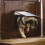 PetSafe (MEDIUM BROWN 755EF) Cat/ Dog Flap For Small Pets (Lockable) By Petsafe 2