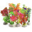 Digiflex 10pc Mixed Aquarium Plants | Plastic Fish Tank Plants 1