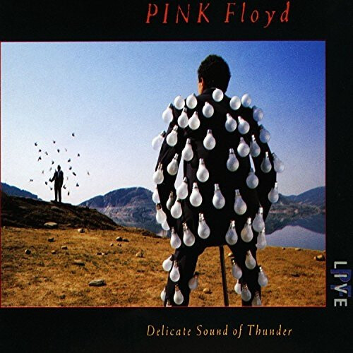 Pink Floyd - Delicate Sound Of Thunder [CD]