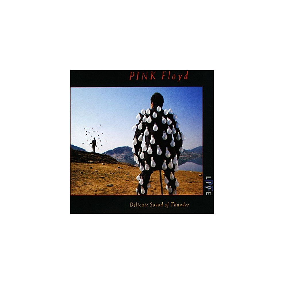 Floyd - Delicate Sound Of Thunder [Cd] Pink
