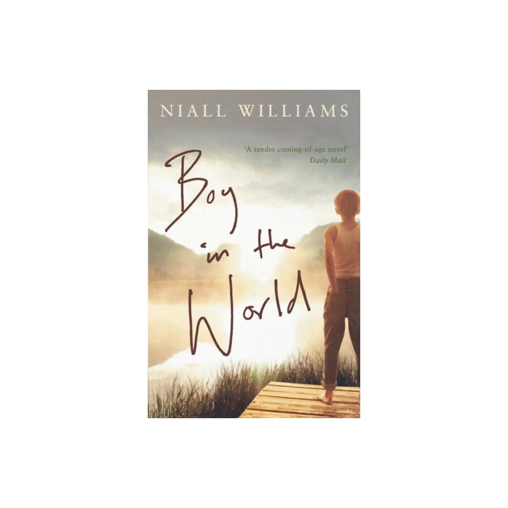 Boys In The World (Paperback)