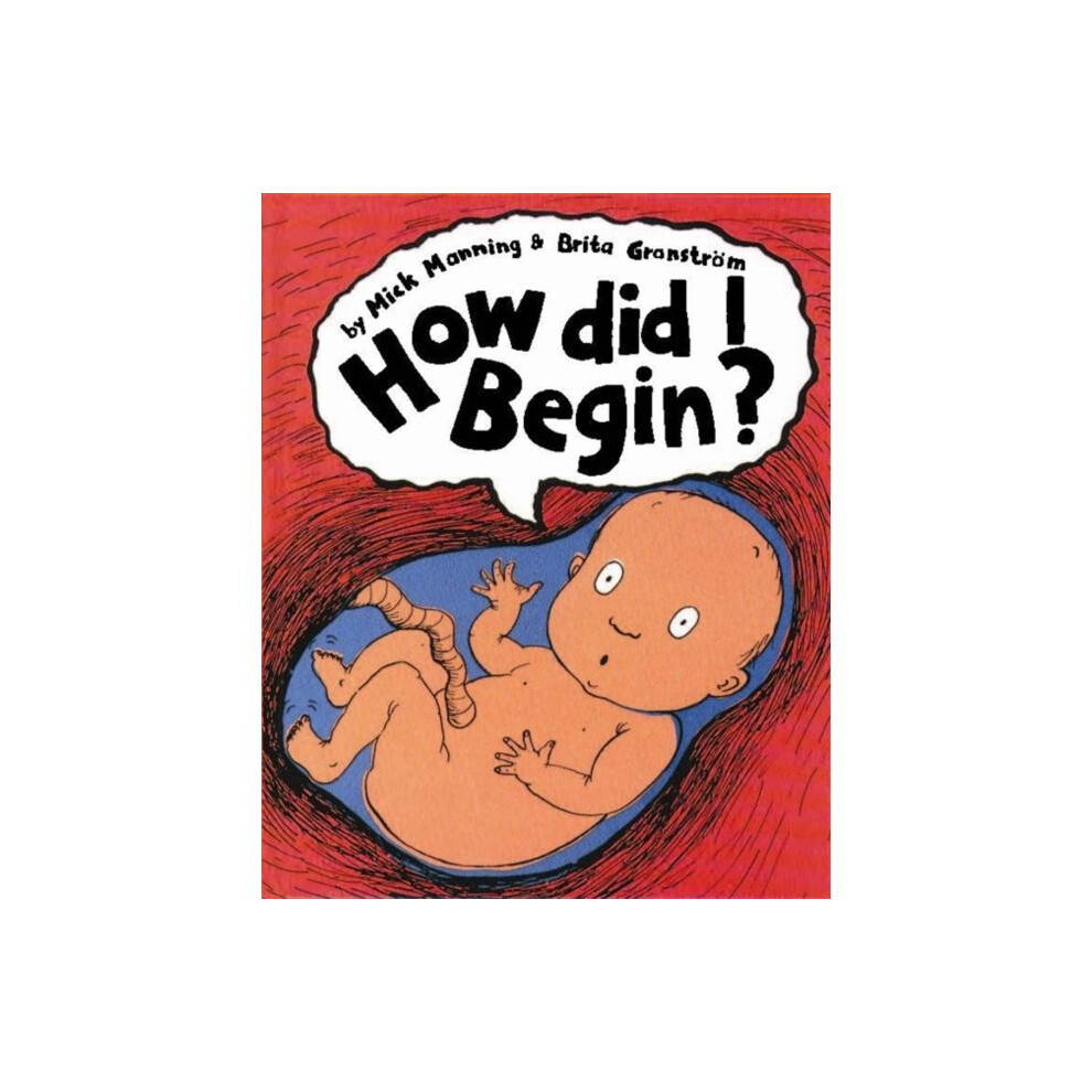 How Did I Begin? (Paperback)