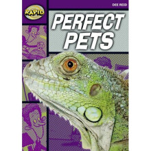 Rapid Starter Level: Perfect Pets