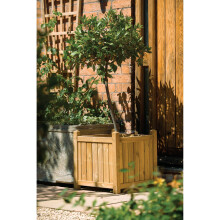 Square Planter