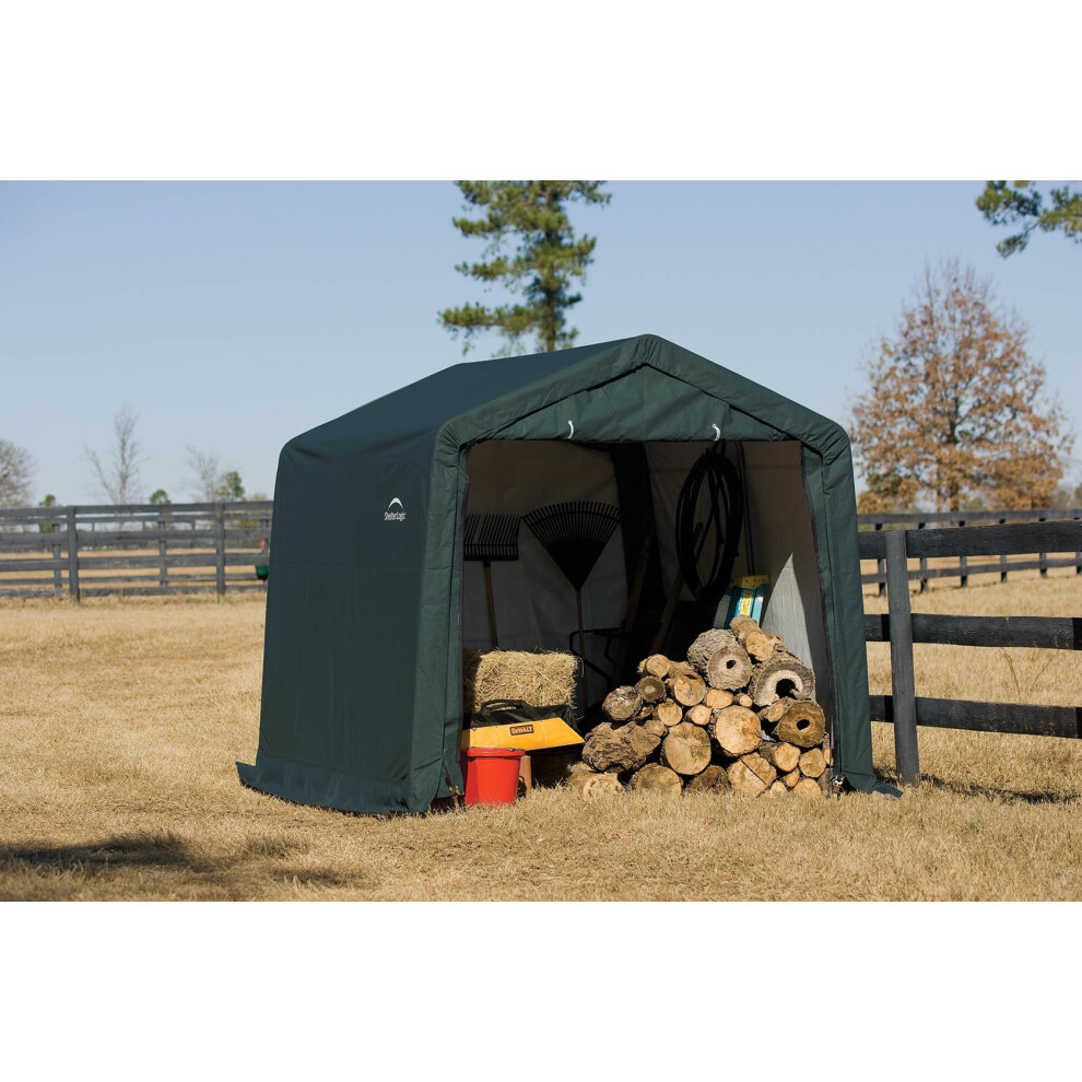 10x10 Shelter Logic Shed in a box