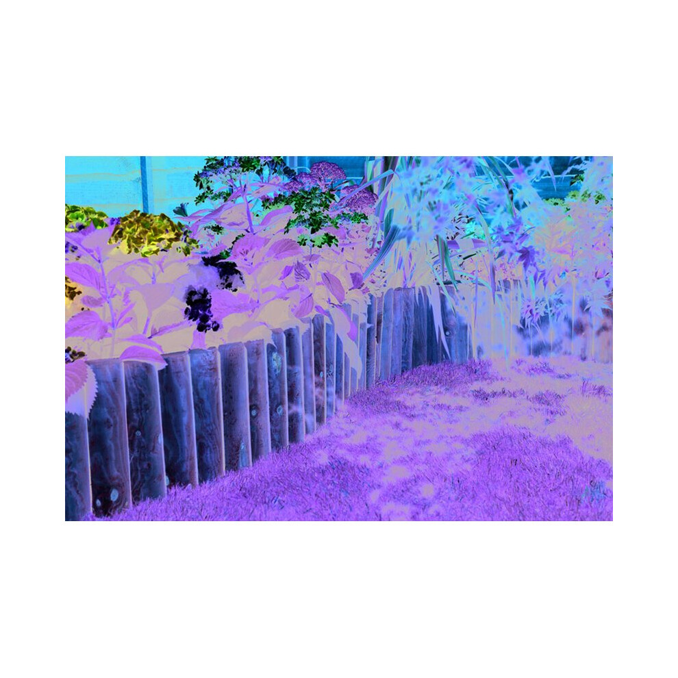 Border Fence 1.0m (Pack of 4)