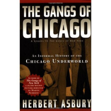 The Gangs of Chicago: An Informal History of the Chicago Underworld (Illinois)