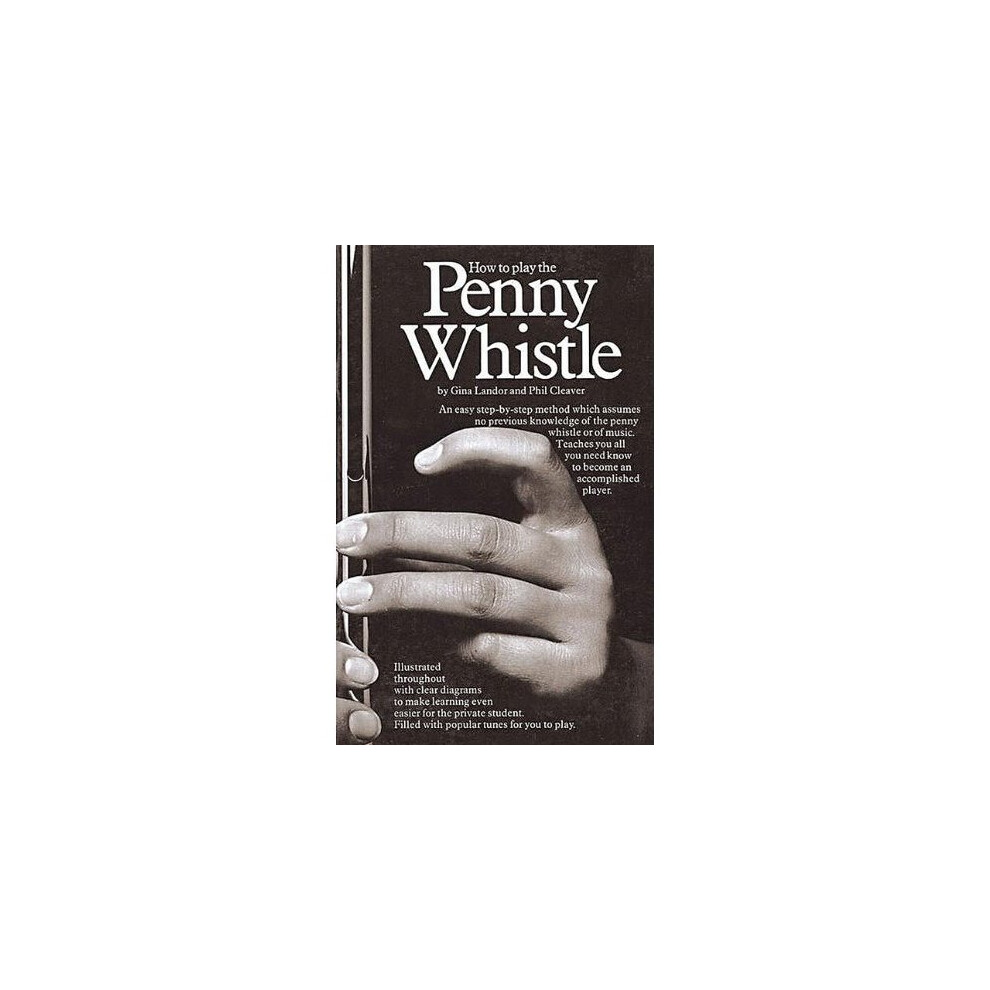 How to Play the Penny Whistle (Penny & Tin Whistle)