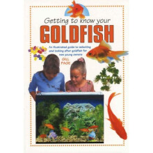 Getting To Know Your Goldfish