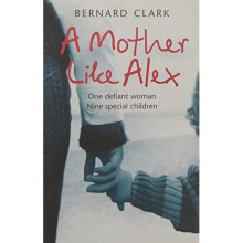 A Mother Like Alex: One Defiant Woman. Nine Special Children.