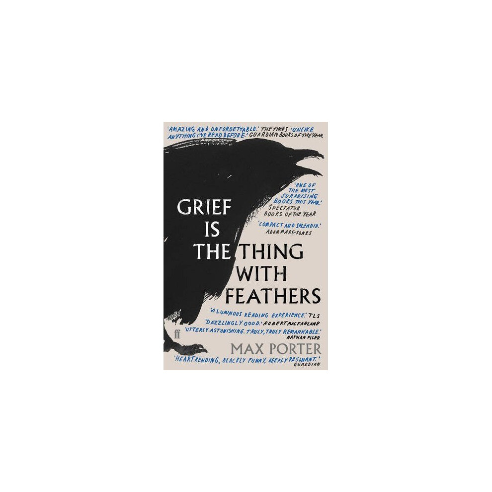 Boys Grief Is The Thing With Feathers