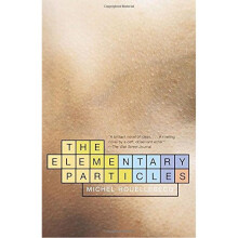 The Elementary Particles (Vintage International (Paperback))
